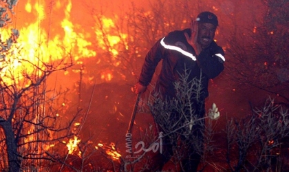 الجزائر: السيطرة على 20 حريق غابات في ولاية بجاية