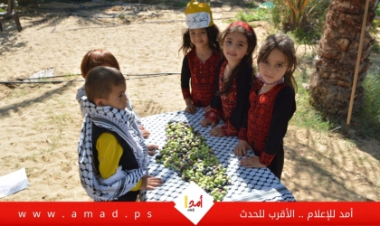 إحياءًا للتراث.. أطفال يشاركون الفلاح الفلسطيني قطف ثمار الزيتون - فيديو