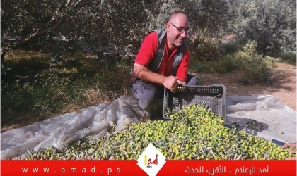 وزارة الزراعة تعلن بدء موسم "قطف الزيتون" في فلسطين