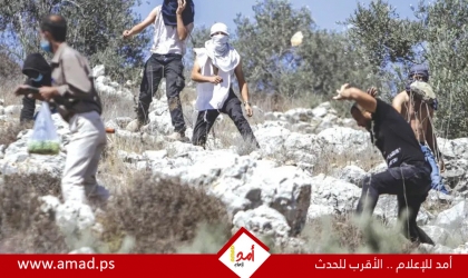 "بتسيلم": إسرائيل تسلب أراضي الفلسطينيين بواسطة عنف المستوطنين