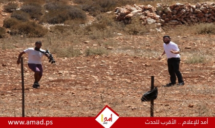مستوطنون يداهمون خيام مواطن في الفارسية