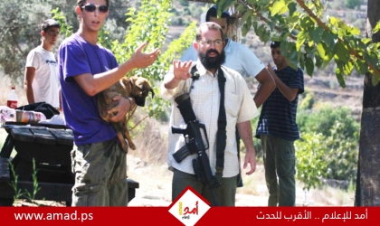 الخليل: مستوطنون إرهابيون يتلفون "محاصيل زراعية" في يطا