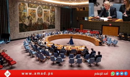 وينسلاند:  السبيل الوحيد للقضية الفلسطينية هو حل الدولتين.. ويجب حل المشكلة المالية للسلطة