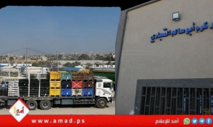 بدء دخول شاحنات مساعدات إلى غزة عبر معبر كرم أبو سالم