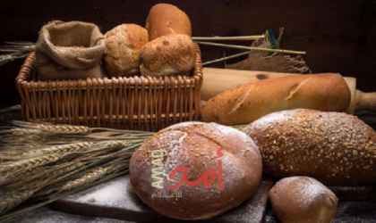 اليوم العالمى للخبز.. تعرف على أغلى أنواع العيش وأسعاره