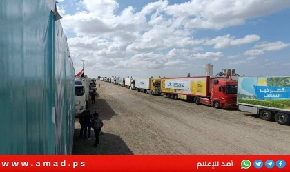 عبور 20 شاحنة مساعدات إماراتية إلى قطاع غزة - تفاصيل