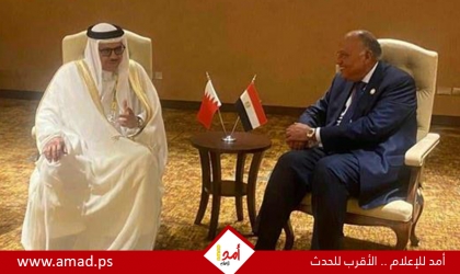 وزيرا خارجية مصر والبحرين: تكثيف التحركات الإقليمية لوقف إطلاق النار بغزة