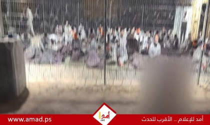 الأمم المتحدة: استخدام جيش الاحتلال الكلاب ضد المعتقلين الفلسطينيين انتهاك خطير
