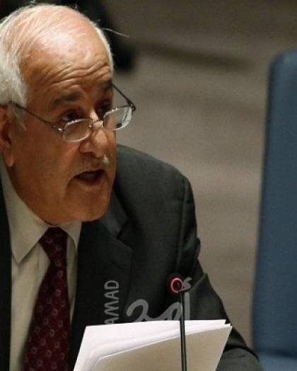 منصور يدعو لتوفير الحماية الفورية للشعب الفلسطيني وفقًا للقانون الدولي