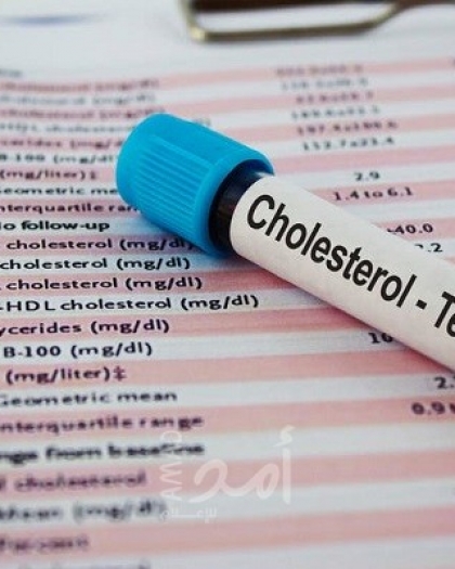 6 أطعمة تساعد فى خفض مستوى الكوليسترول بالدم