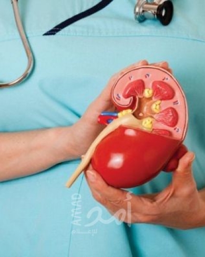 7 طرق للحفاظ على صحة الكلى لدى الأطفال
