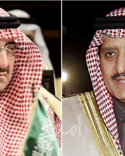 بلومبرغ: بن نايف وبن عبد العزيز كانا يخططان للانقلاب في السعودية