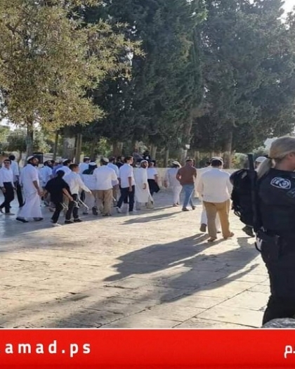 الأردن تدين اقتحام مستوطنين للمسجد الأقصى وتحذر من تداعيات الانتهاكات المتواصلة