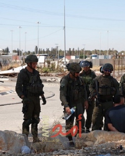 قوات الاحتلال تعتقل مواطنين من مخيم جنين والأغوار