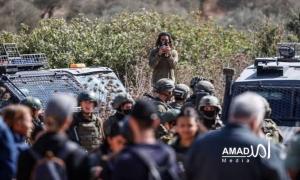 جيش الاحتلال يعتقل مرشح للكونغرس و80 متطوعاً دولياً خلال مشاركتهم في قطف الزيتون بالضفة الغربية